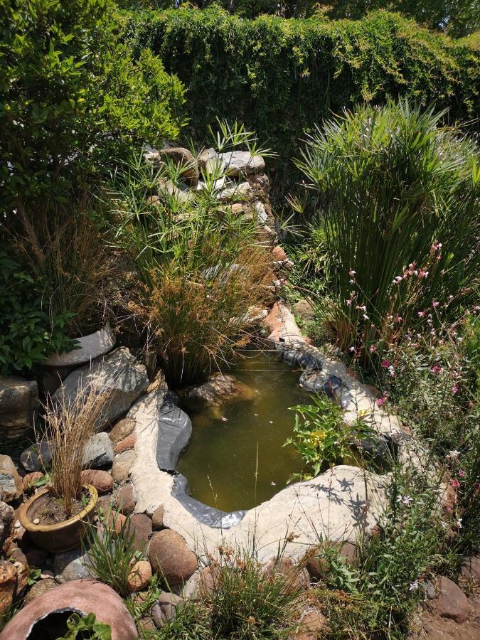 Bastille De Blignaut B&B Edenvale Exteriér fotografie